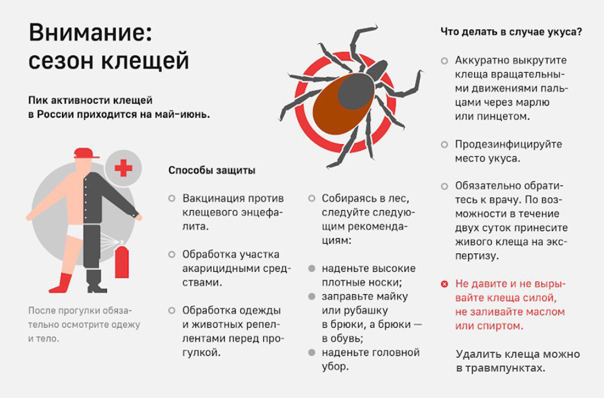 Памятки по клещевому энцефалиту для детей в картинках