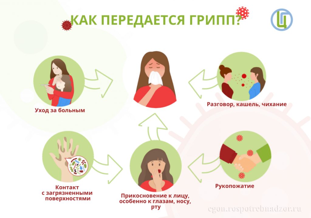 О профилактике гриппа, острых респираторных вирусных инфекций.