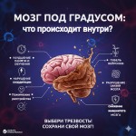 Влияние-алкоголя-на-мозг-человека