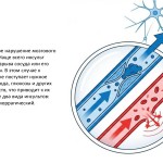 for_parent-teacher_сonferences-2