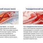 for_parent-teacher_сonferences-3