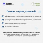 liver-prevention-2