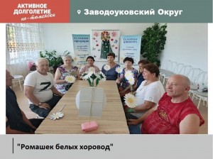 «Ромашек белых хоровод»