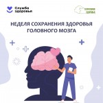 the-brain-1