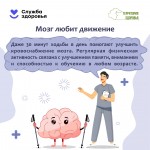 the-brain-2