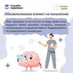 the-brain-3