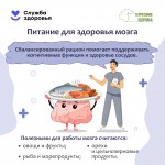 the-brain-4