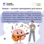the-brain-5