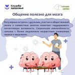 the-brain-6