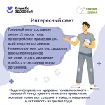 the-brain-7