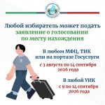 vibori-2